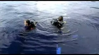 Открытое море / Open Water (2003)