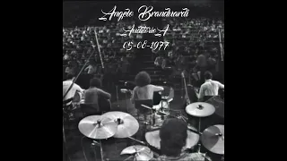 Angelo Branduardi - Tanti anni fa (live 1977)