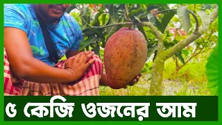 ১০০ জাতের আমের বাগান | Agro News Bangla