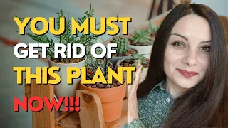 SECRET REVEALED: The ONE Houseplant You Should NEVER Grow Indoors!