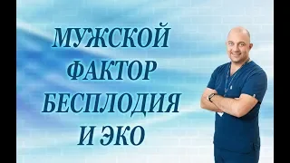 Мужской фактор бесплодия и ЭКО