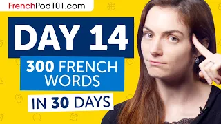Day 14: 140/300 | Learn 300 French Words in 30 Days Challenge