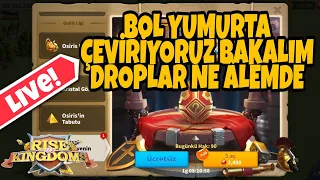 YUMURTA ÇEVİRİYORUZ 1556-1557 3 HESAP DA 270 ÇEVİRME BÖYLE ŞANS MI OLUR ... | #riseofkingdoms