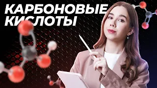 Химические свойства карбоновых кислот | Химия ЕГЭ для 10 класса | Умскул