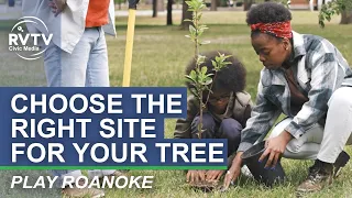 How to Choose the Right Site for Your Tree