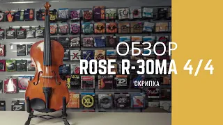 Скрипка Rose R-30MA 4/4 - Rose R-35MA 4/4 - магазин музыкальных инструментов Music City