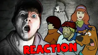 I MISS CARTOON NETWORK | Blair Witch meets CLASSIC Scooby-Doo ! | The Scooby-Doo Project REACTION