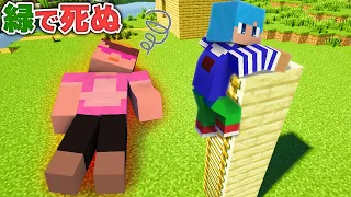 緑に触れたら死ぬ世界でイタズラ大作戦!!【マイクラ / まいくら / マインクラフト】