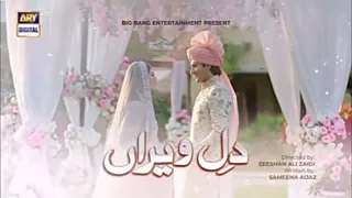 Dil e Veeran Episode 29 - Teaser - ARY  Digital Drama