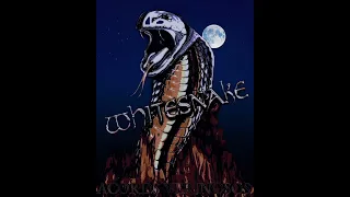 Whitesnake - Acords Verinosos 1988