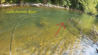 Fly Fishing the LITTLE Juniata River (Dry Dropper Rig)