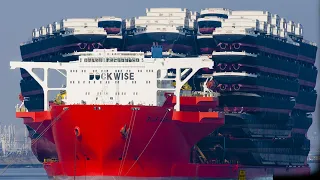 The Giant That Ships Shipping Ships | Blue Marlin | Flashinfo