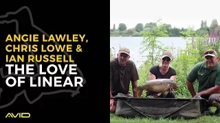 AVID CARP - The Love of Linear - Chris Lowe, Angie Lawley, Ian Russell