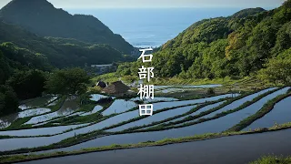 Ishibu Rice Terraces - Shizuoka - 石部棚田 - 8K