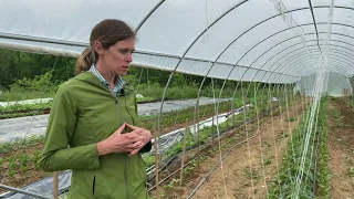 Caterpillar Tunnel with Roll-up Sides at Rains and Sun Hilltop Farm