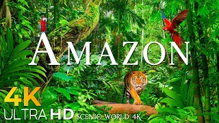 Amazon 4K UHD - Scenic Relaxation Film With Calming Music - Amazing Nature - 4K Video Ultra HD