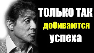 Сильвестр Сталлоне  | ПОЧЕМУ УСПЕХА ДОБИВАЮТСЯ ТОЛЬКО 1%