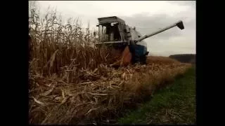 Kukurydza na ziarno 2016☆ Fortschritt-Zetor ☆ Mati Podkarpacie ㋡