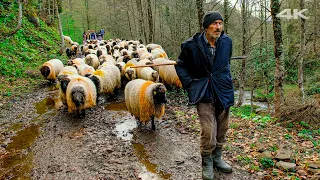 Family Heritage - Traditional Highland Migration | Documentary ▫️4K▫️