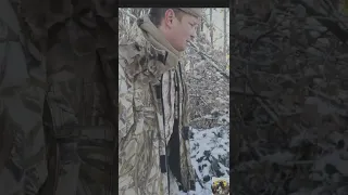 Особенности охоты с собаками (первый снег)