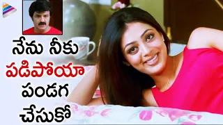 Balakrishna & Parvathi Melton Romantic Comedy Scene | Srimannarayana Telugu movie | Isha Chawla |NBK