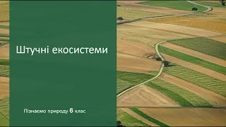 Штучні екосистеми