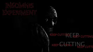 A TERRIFYING Game About THE RUSSIAN SLEEP Experiment || Insomnis Experiment