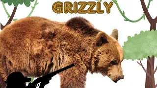 Casi Anécdotas 2: Salvamento Grizzly
