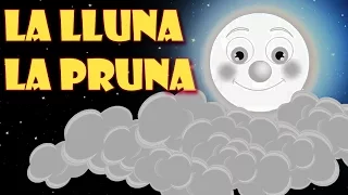 LA LLUNA LA PRUNA | Cançons Infantils en Català