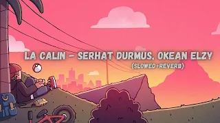 La Calin - Serhat Durmus, Okean Elzy (Slowed + Reverb) | Lofi Song | Music verse