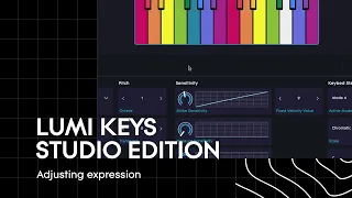 LUMI Keys Studio Edition: Adjusting Expression