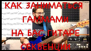 Как заниматься гаммами на бас гитаре(секвенции)