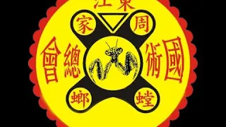 Chow Gar Southern Praying Mantis Kungfu | Saam Bo Jin Excerpts | 3 Step Arrow Punch