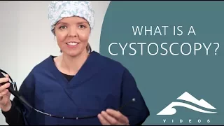 What is a cystoscopy: evaluation of your bladder