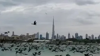 Heavy rain/Thunderstorm/flood in Dubai and Sharjah-UAE || المطر في الإمارات العربية المتحدة