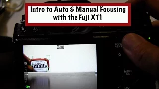 Intro to Auto and Manual Focusing with the Fuji Xt1