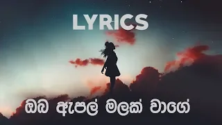 ඔබ ඇපල් මලක් වාගේ - Oba Apple malak wage | Amarasiri Peiris | LYRICS