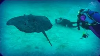 Maldivas: el paraíso del buceo (parte 3)