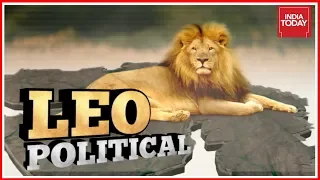 Leo Political : The Politics Around Endangered Asiatic Lions | The Long Story