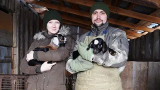 КУПИЛ 2 ДОМА В ДЕРЕВНЕ | ВОТ ТАКОЕ ЧУДО У НАС ПОЯВИЛОСЬ | ЧТО ДЕЛАТЬ ДАЛЬШЕ?!