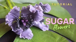 📍 Sugar flowers tutorial for beginners | How to make sugar flowers to decorate a cake.