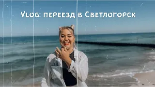 КАЛИНИНГРАД| СВЕТЛОГОРСК| ПЕРВЫЕ ВПЕЧАТЛЕНИЯ