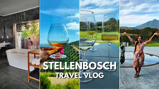 THINGS TO DO IN STELLENBOSCH SOUTH AFRICA | Wine Tasting In Cape Winelands