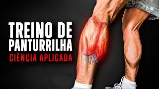 Treino de PANTURRILHA Completo (Baseado Na Ciência)