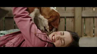 A Dog's Journey - Coming Soon | Universal Pictures Trinidad