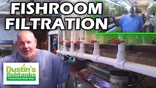 How to Filter an Aquarium Fish Room