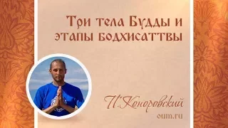 Три тела Будды и этапы бодхисаттвы. Павел Коноровский