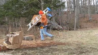 Cutting Giant Log With Small Chainsaw