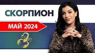 СКОРПИОН МАЙ 2024. Расклад Таро для Скорпионов на Май 2024