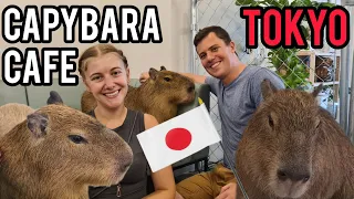 Capybara Café in Tokyo 🇯🇵 Best animal cafe in Japan?